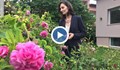 Кметица отглежда рози на 2 века в градината си
