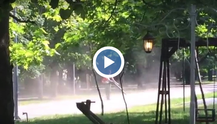 Спрете да "почиствате" парка!