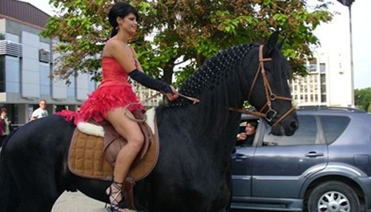 "Моят кавалер за бала е Тюмен", обяви тогава момичето за въпросния кон "Моят кавалер за бала е Тюмен", обяви тогава момичето за въпросния кон