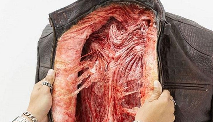 Шествие против производството и търговията с животински кожи тръгва от столичната Съдебна палата