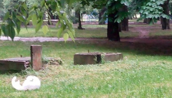 Русенци за пореден път изразиха възмущението си от вандалската проява