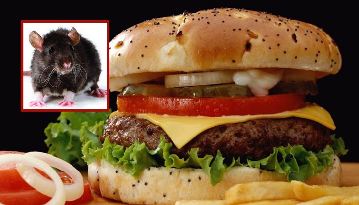 Трудно е обаче да се преглътне фактът, че в съдържанието има ДНК на плъх и на човек