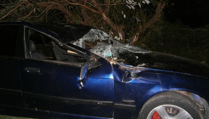 БМВ-то, което е с русенска регистрация, се блъска в дърво / Снимката е илюстративна БМВ-то, което е с русенска регистрация, се блъска в дърво / Снимката е илюстративна