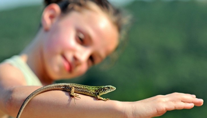 Проектът цели чрез игра да се насърчава творческото мислене на децата