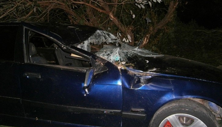 При катастрофата бяха ранени още шофьорът и останалите пътници /снимката е илюстративна/ При катастрофата бяха ранени още шофьорът и останалите пътници /снимката е илюстративна/