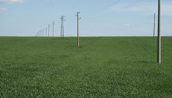 Експозицията съдържа 22 снимки, заснети в селскостопанските райони около Русе, Букурещ и Констанца