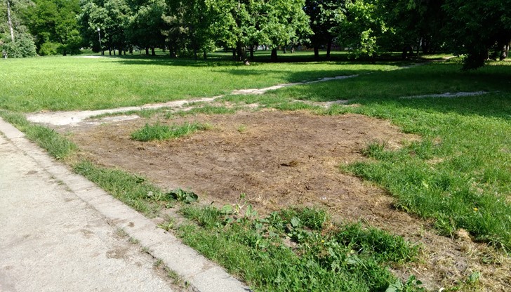 Кой ще възвърне към нормалния вид увредените зелени площи в Русе