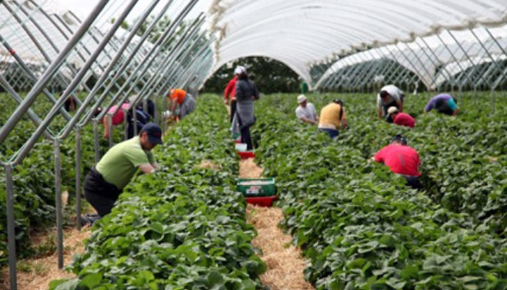 Националната комисия за борба с трафика на хора ви приканва да бъдете внимателни, когато заминавате да работите в чужбина Националната комисия за борба с трафика на хора ви приканва да бъдете внимателни, когато заминавате да работите в чужбина