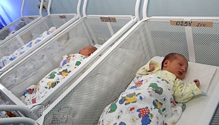 Осем от новородените са момченца, представителките на нежния пол са четири