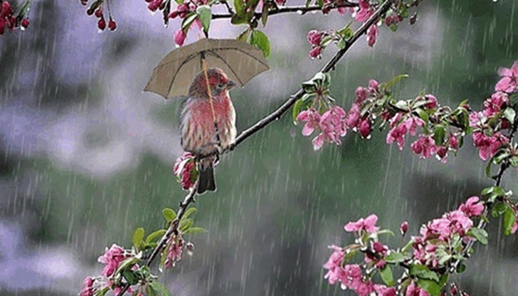 <p>Не се безпокой за каквото и да било &ndash; никога! Или имаш контрол над него, или не. Ако имаш &ndash; действай. Ако ли не &ndash; махни с ръка. Не хаби енергията си за тревоги.</p>
