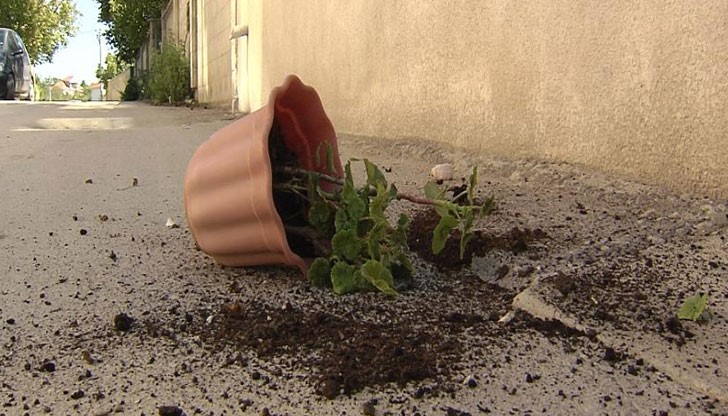 Екшън се разигра пред фаталния частен хоспис във Варна, в който възрастна жена загина