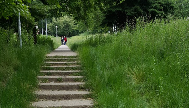 Господин Стоилов, сетете се за изолираните хора от "Дружба - 3"