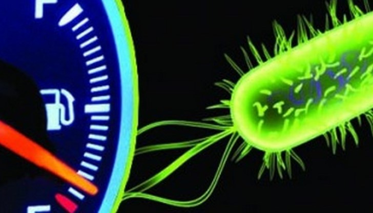 Учени разработиха бактерия, която се храни с въглероден диоксид и произвежда гориво Учени разработиха бактерия, която се храни с въглероден диоксид и произвежда гориво