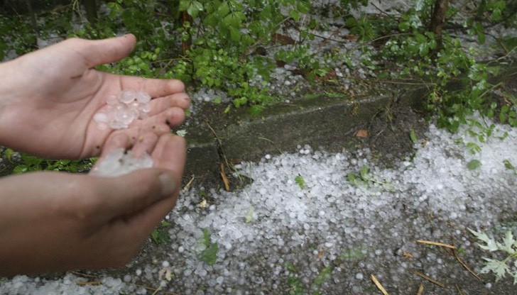 Зърно, плодове, зеленчуци са предварително съсипани Зърно, плодове, зеленчуци са предварително съсипани