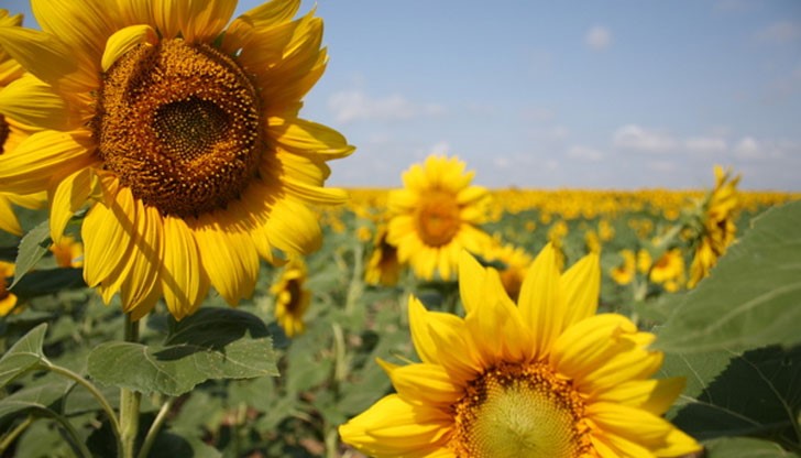 Успешен старт на деня! Успешен старт на деня!