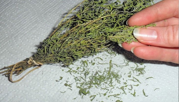 Чай от чубрица или отвара от чубрица се приготвя изключително лесно Чай от чубрица или отвара от чубрица се приготвя изключително лесно