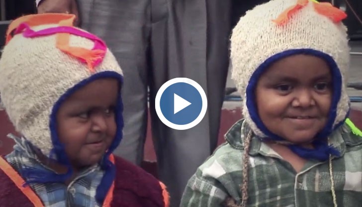 Те се надяват да влязат в рекордите на Гинес с размерите си