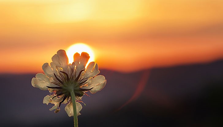 Успешен ден! Успешен ден!