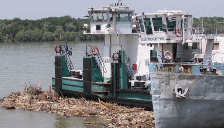 Огромно количество дънери, клони и купища пластмасови бутилки плават в река Дунав край Русе