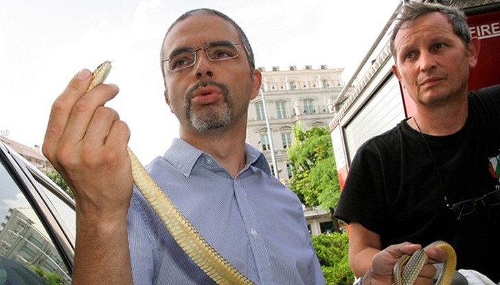 Служители на Гражданска защита обследваха целия район за змии