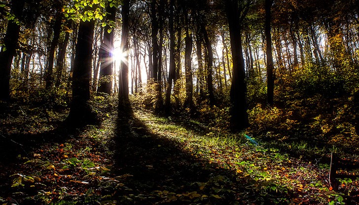 По-късно съобщили в полицията, че детето е изчезнало По-късно съобщили в полицията, че детето е изчезнало