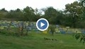 Пчеларите в русенско се оплакват от ниските изкупни цени на меда