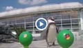 Пингвин предсказва победителите на Евро 2016