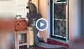 Гигантски гущер барикадира мъж в дома му