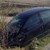 Пиян шофьор се "гътна" в канавката на пътя Русе – Силистра