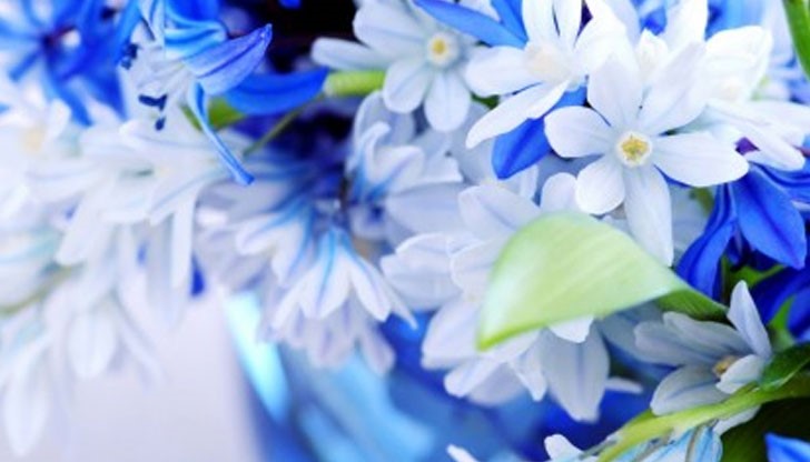 На всички празнуващи - Честито! На всички празнуващи - Честито!