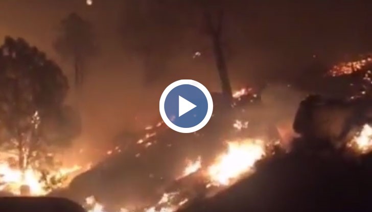 В Калифорния пожар бушува до езерото Изабела, с който се борят 1100 пожарникари