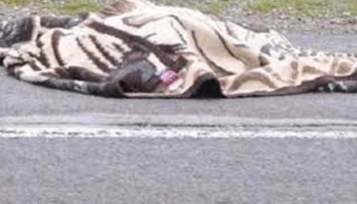 Жената е пресякла магистралата в посока Никозия и се готвела да пресече и магистралата в посока Ларнака Жената е пресякла магистралата в посока Никозия и се готвела да пресече и магистралата в посока Ларнака