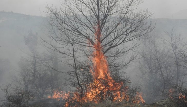 Мястото е труднодостъпно и пожарните коли не могат да стигнат до него