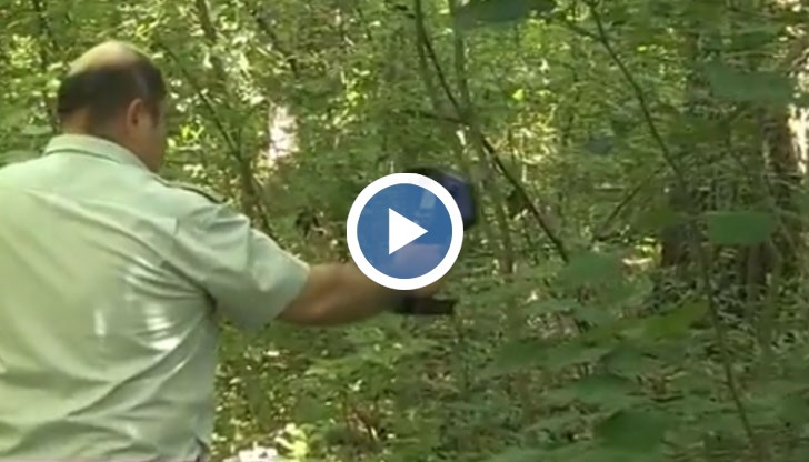 Полицията не изключва варианта детето да е станало жертва на отвличане