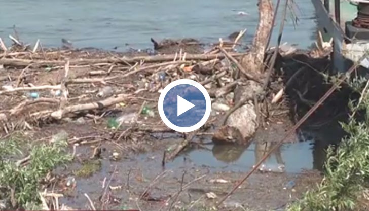 Всяка година съоръженията, където спират плавателните съдове, се затлачват от стотици клони, стволове на паднали дървета и дънери