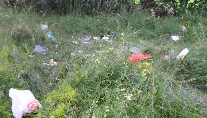 Обикалят гробищните паркове и си правят пиршества...