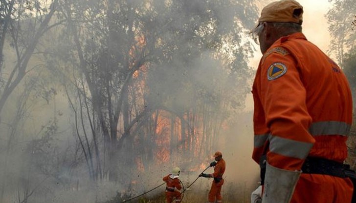 Двама са обвинени за умишлен палеж