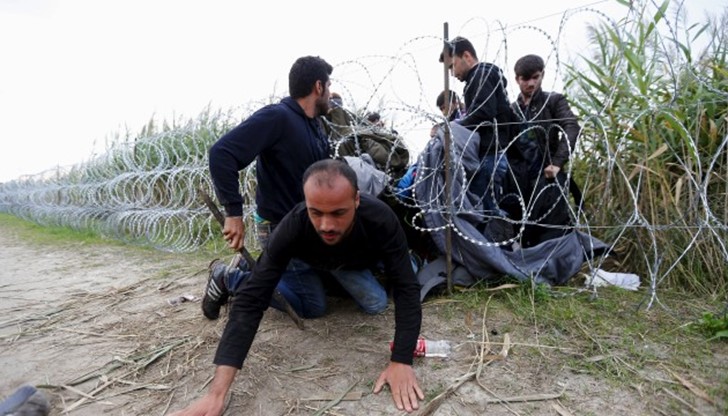 Бежанците режат оградата за да нахлуят в България