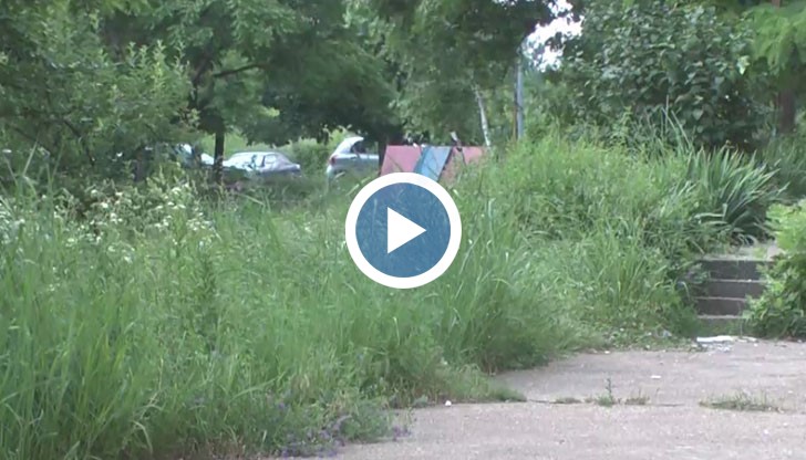 Въпреки честите валежи, в някои райони на Русе все още не е косено