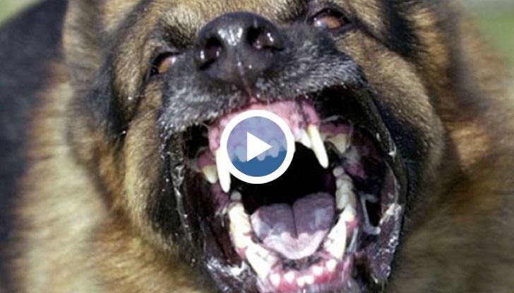 Защото става дума за много пари...