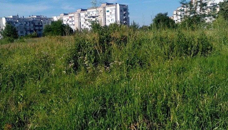 Районът на МНО 4 в квартал "Дружба" 3 си е останал необработен