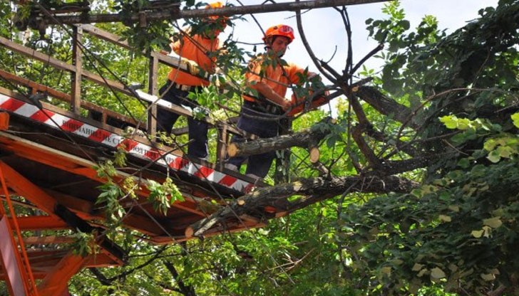Огнеборците са загасили запалени отпадъци в контейнер на ул. "Цар Асен"