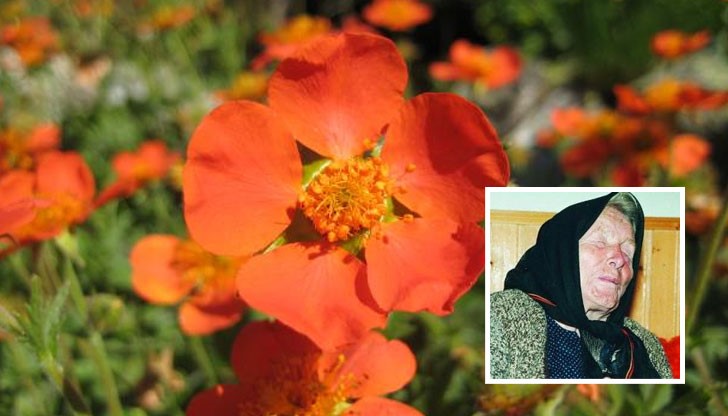 Без абсолютно никакви лишения всеки българин би могъл да реши проблемите си, свързани с теглото