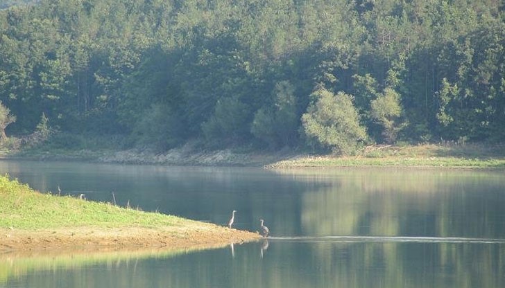 Теодор С. бил с приятели на язовира Теодор С. бил с приятели на язовира