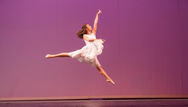 Бяха представени 27 танца, като всеки един от тях е отличен с награда от престижен конкурс в страната или чужбина