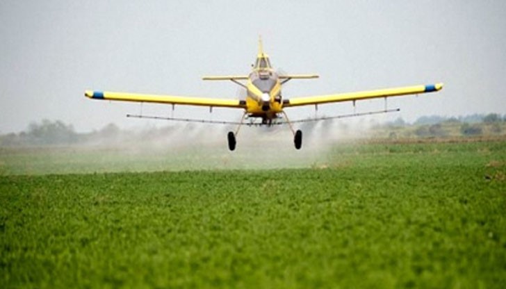 Обработени са 10-километрови участъци от брега на реката от района на град Брегово до град Силистра Обработени са 10-километрови участъци от брега на реката от района на град Брегово до град Силистра