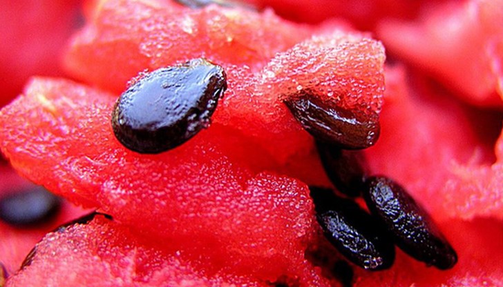 Със сигурност досега не сте знаели какво природно богатство изхвърляте Със сигурност досега не сте знаели какво природно богатство изхвърляте