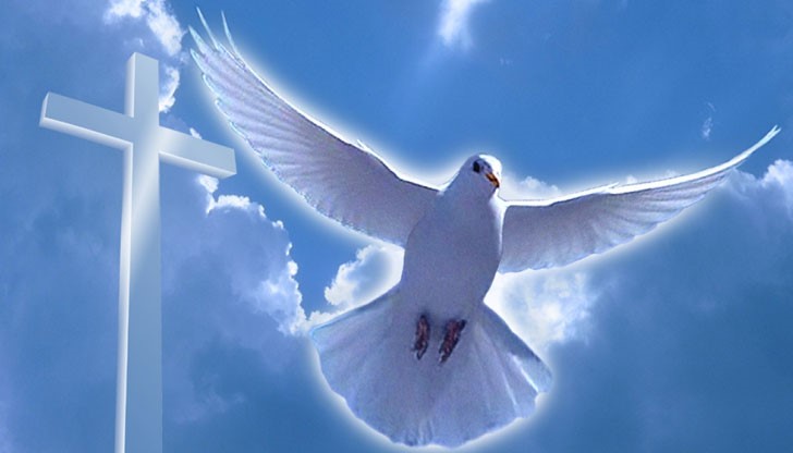 Светият Дух е източникът на всичко живо