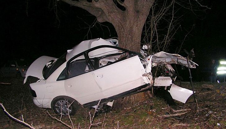„Ауди А8“ се е блъснал в дърво и го е отсякъл, на място са загинали двама младежи от село Веселец / Снимката е илюстративна
