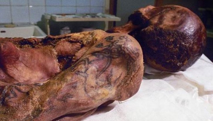 Мумията на татуираната сибирска принцеса, живяла преди 2500 години, ще бъде изложена за пръв път в музей